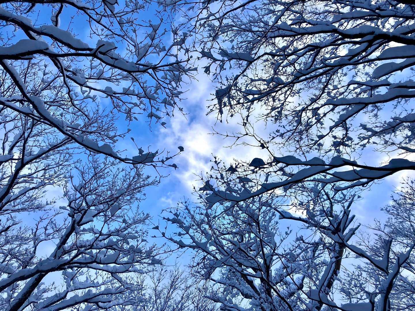 上を見ると青空。