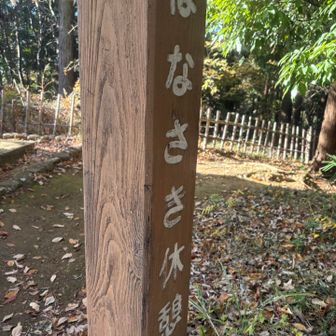 ここまで走った