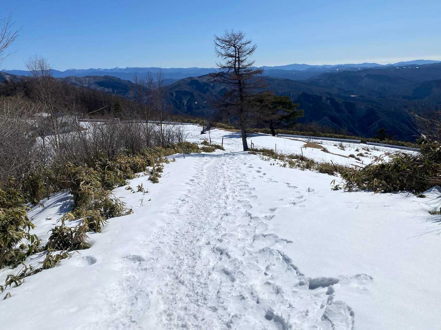雪質よかったー
