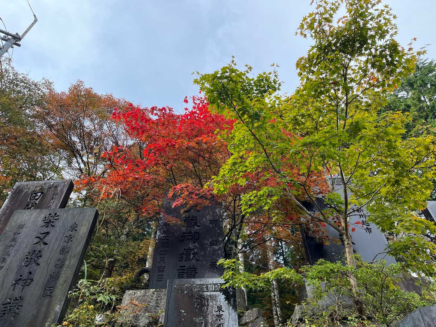 御岳山〜つるつる温泉｜ペットも歓迎の山上のパワースポットの写真