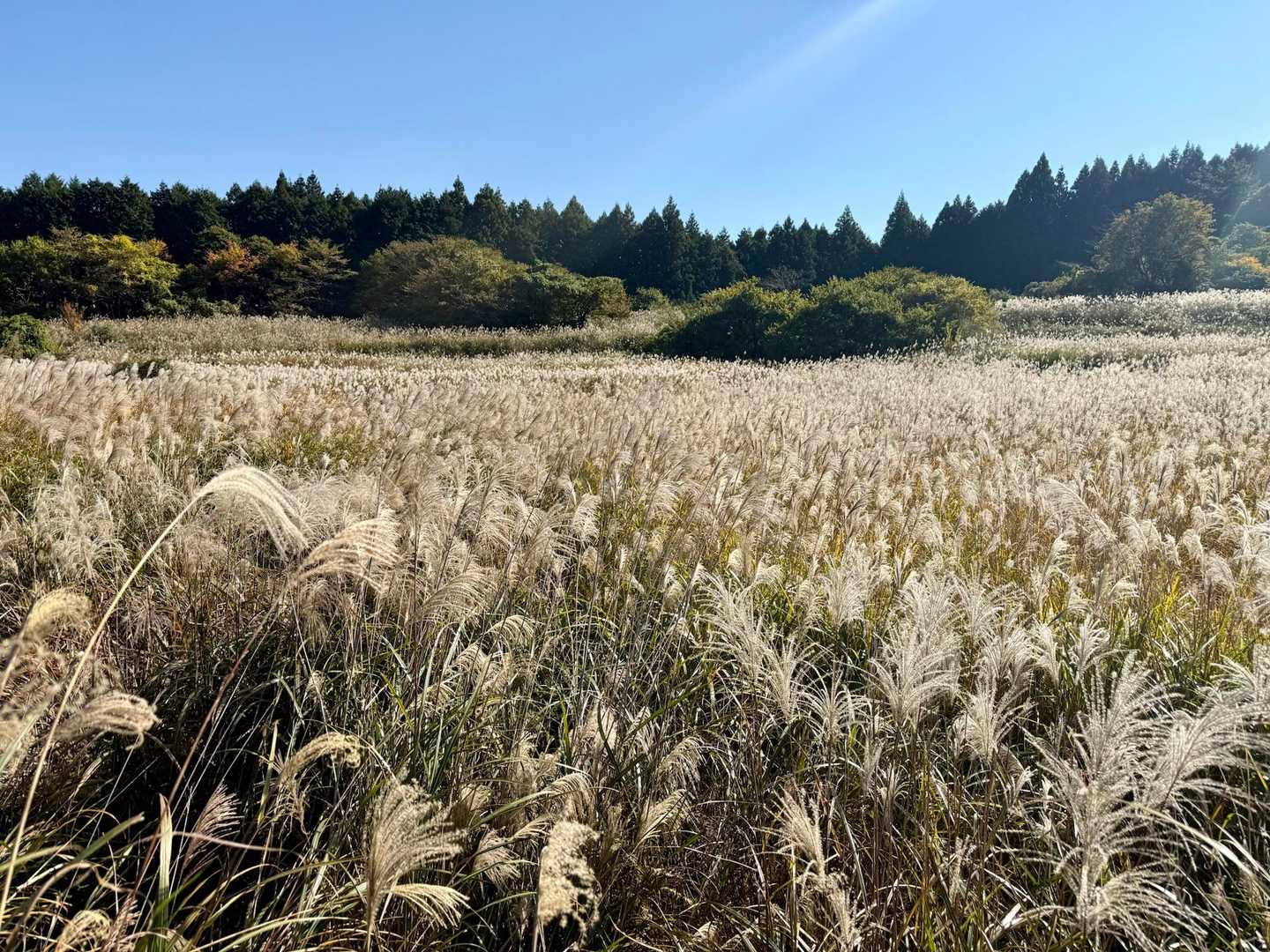曽爾高原より美しい里山の景色