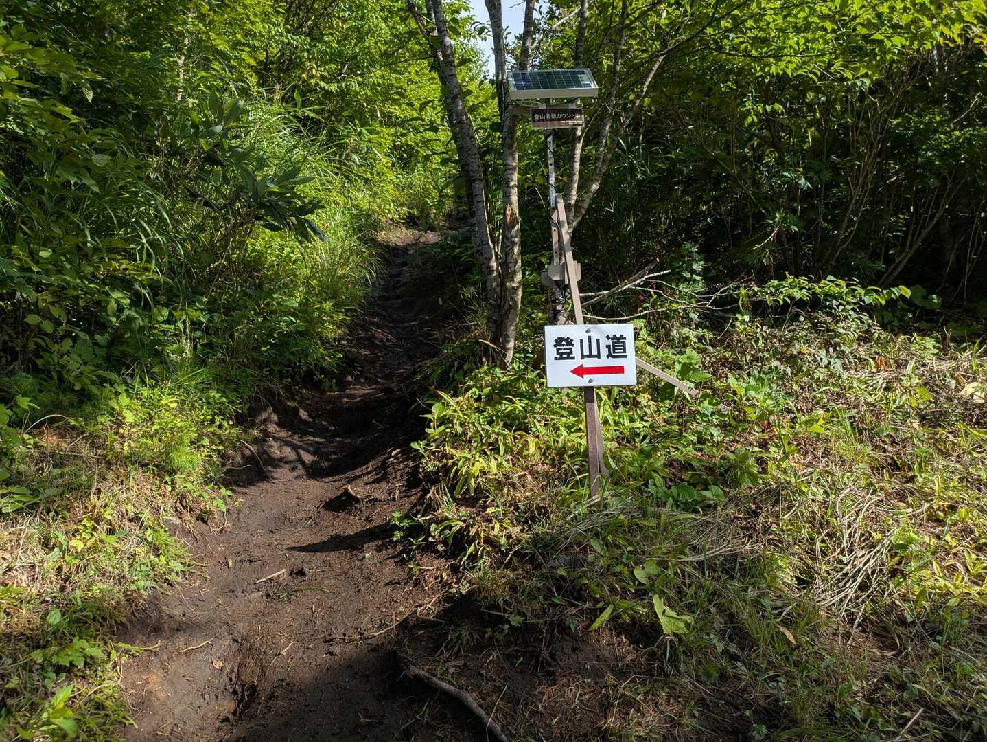 ゲレンデトップから登山道に入っていきます
