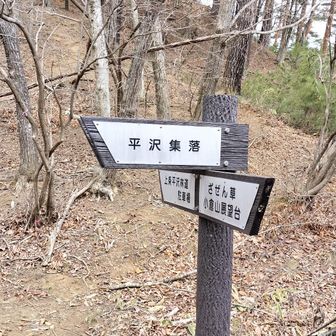 分岐には表示があるので助かります