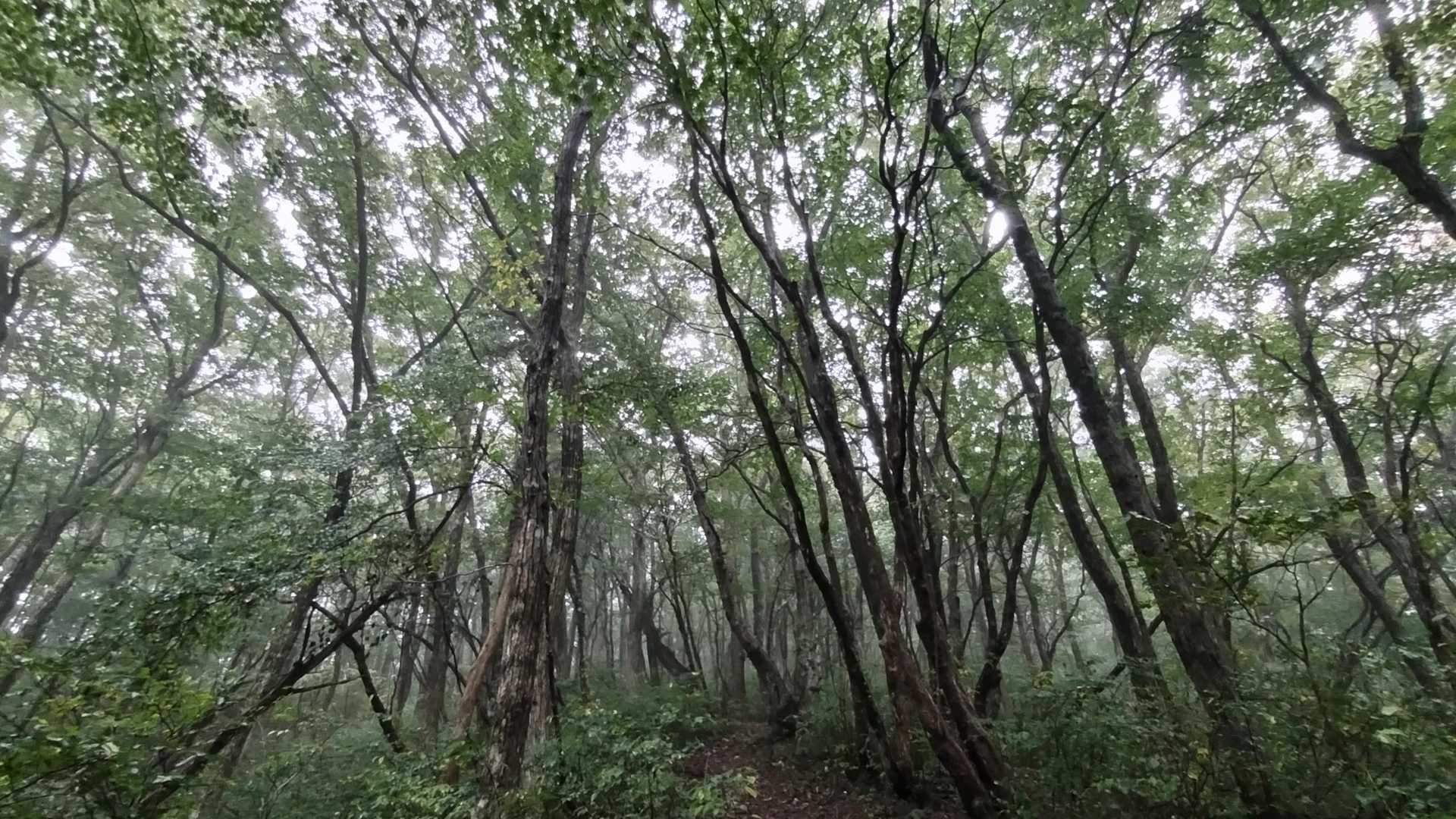 いいね〜💚急で滑る土でした