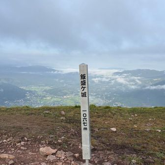 ダウンロードさせてもらったルートが、そういえば、登る人少ないなーの、ふくらはぎに来るしんどいルートでした