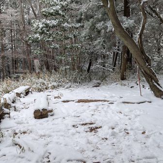 物見山山頂、誰もいない。