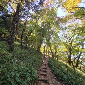 リフト下の紅葉はあと少し