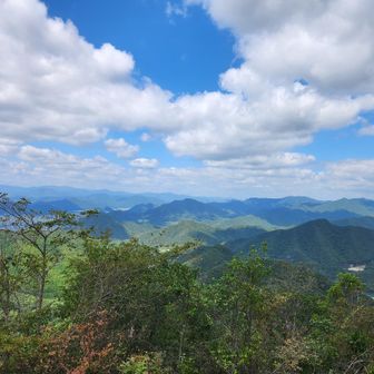 からの景色
大坂山まで引き返して周回で下山↘