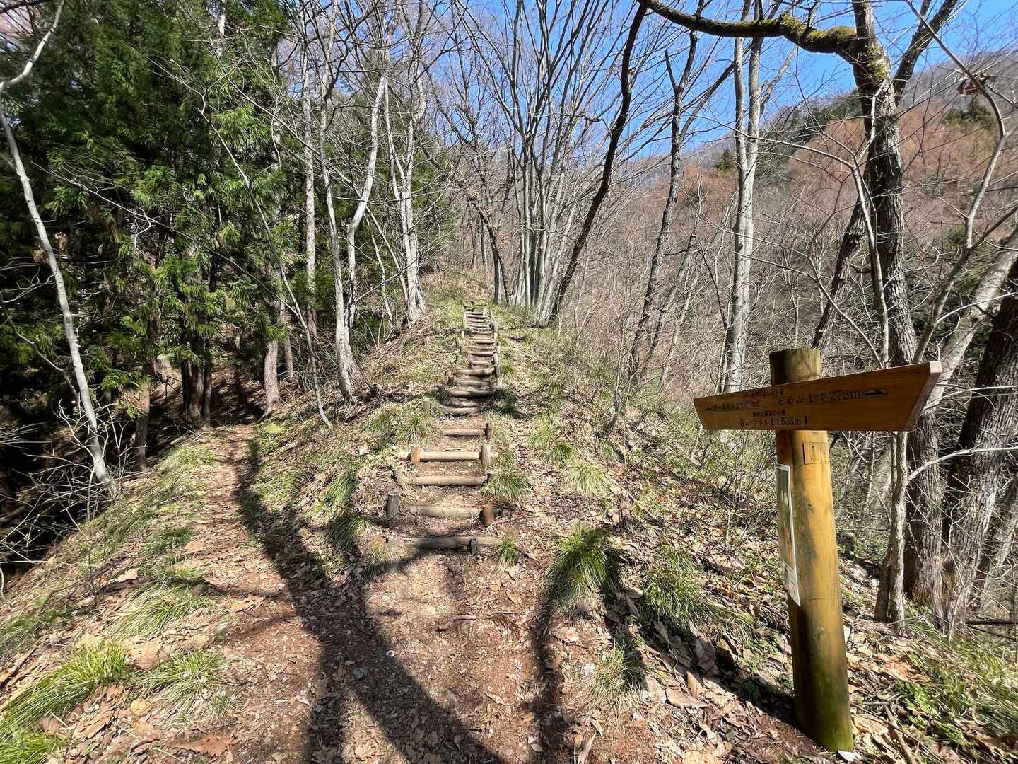 箱山への分岐まで戻ってきました
左側の登山道へ🚶‍♀️‍➡️