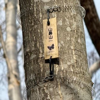 五合目到着
ここからだよ😢
頑張れ、私