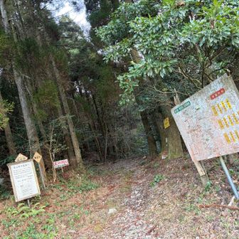 やっと戻ってきたー！