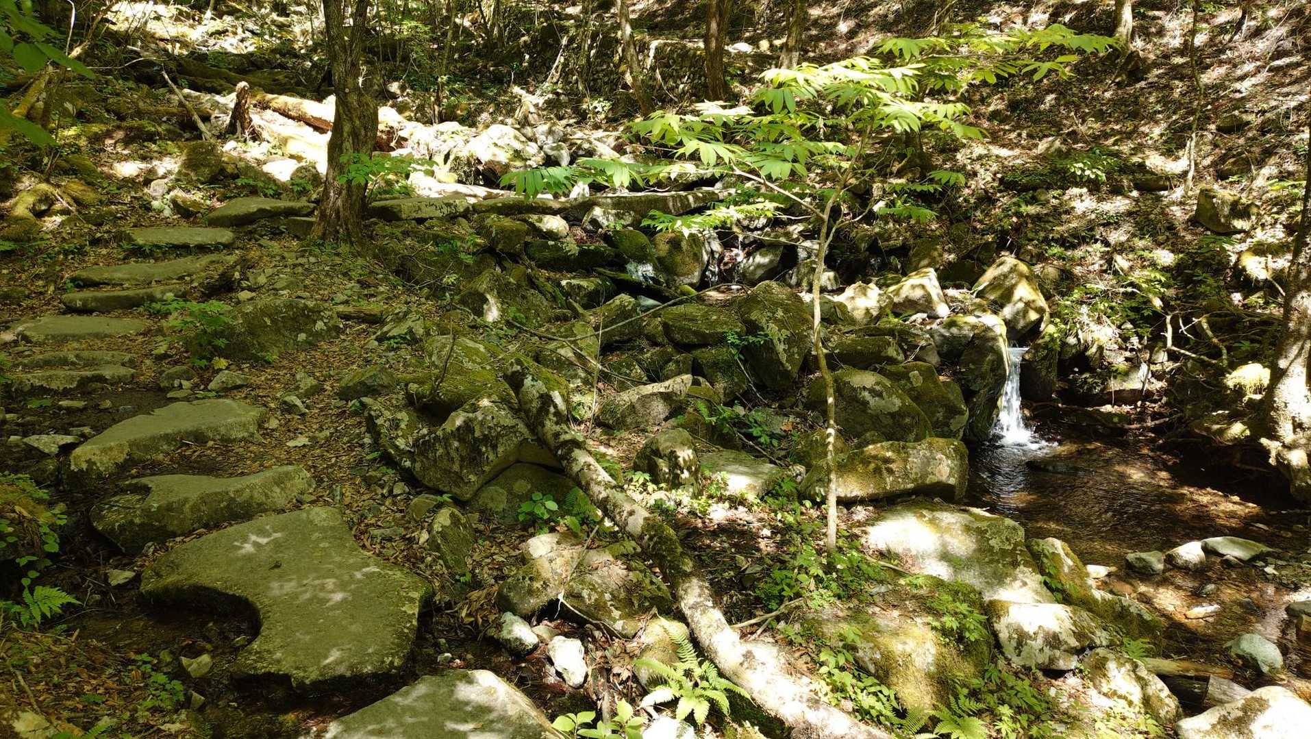 滝の沢をそのまま登りつめる　日陰最高