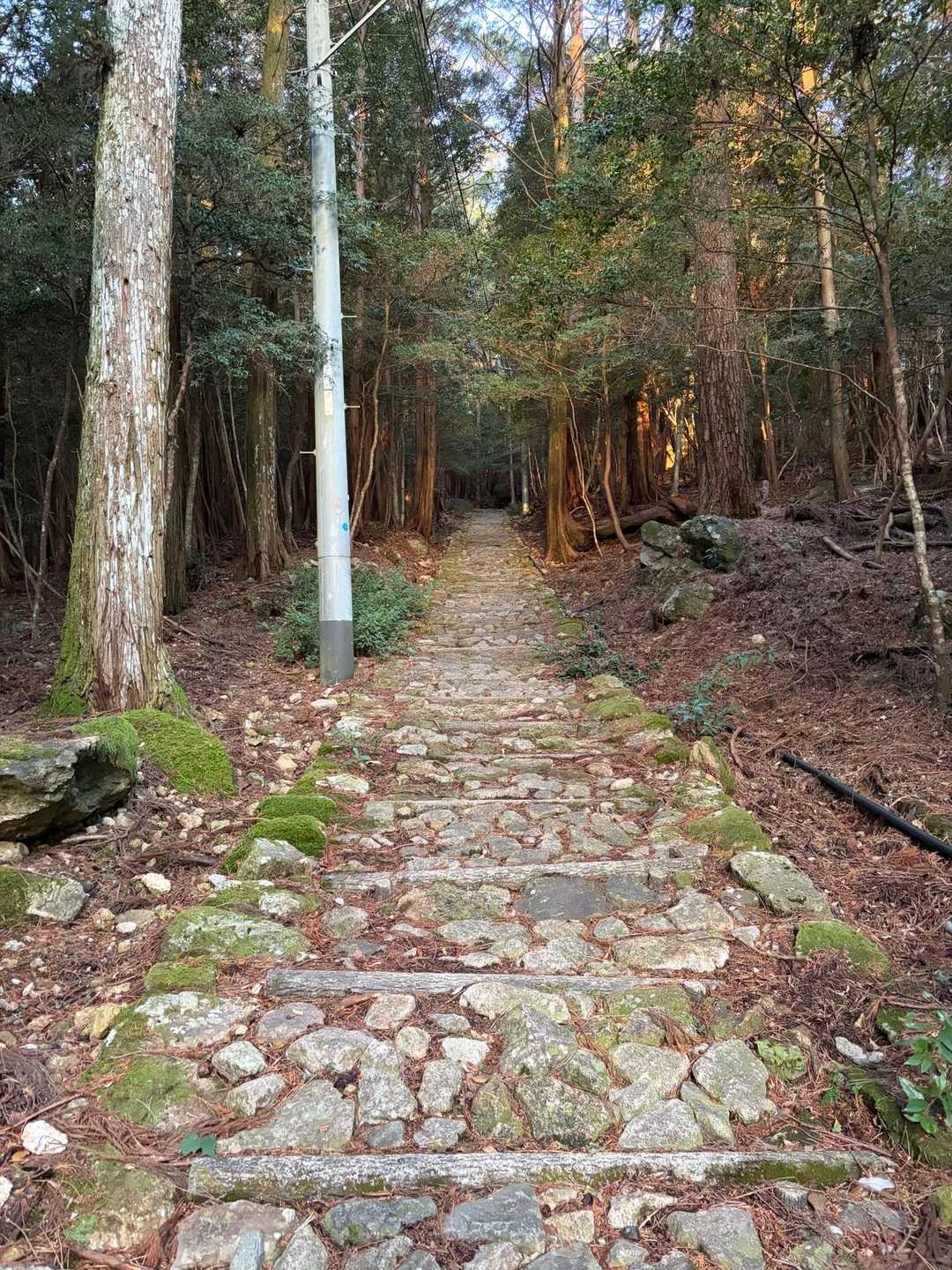 ここまでの遍路道で地元の方？に三人ほど会いましたが、みなさん鼻水垂らしたモジモジ君スタイルの奴にも笑顔で挨拶してくれました☺️