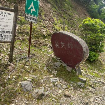 椎矢峠