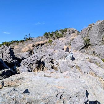このまま大浪池周回して、えびの高原第１🅿️まで戻っても良かったのですが明日もあるので体力温存で大浪池登山🅿️の方へ下山します