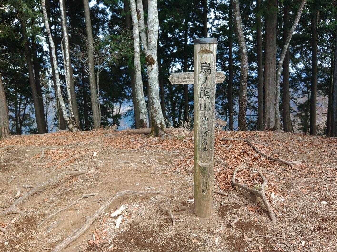 鳥ノ胸山　山梨百名山
標高　1208m