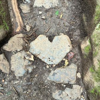 ハート❤️岩🪨見つけてみてください