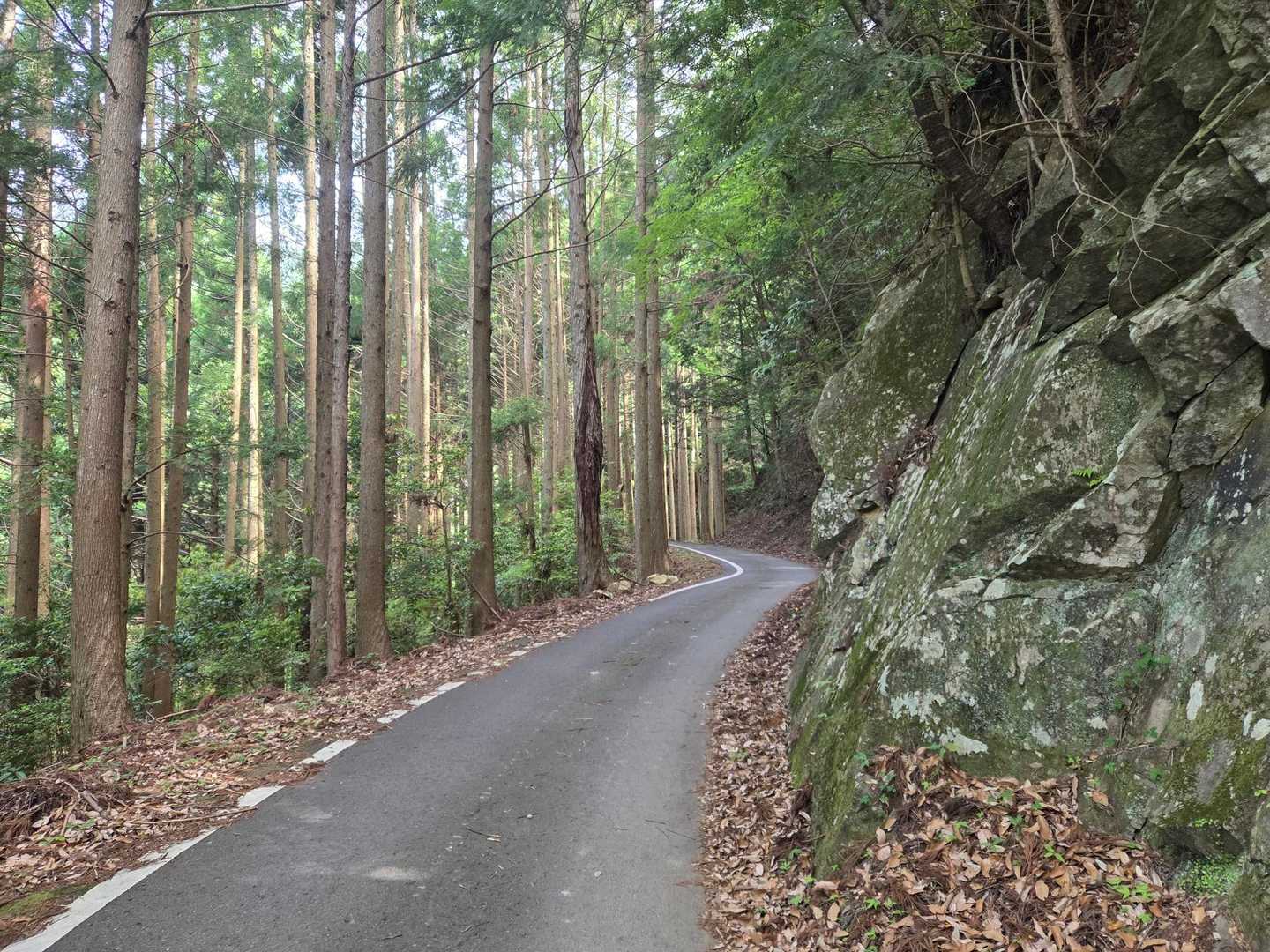 登山口までてくてく。