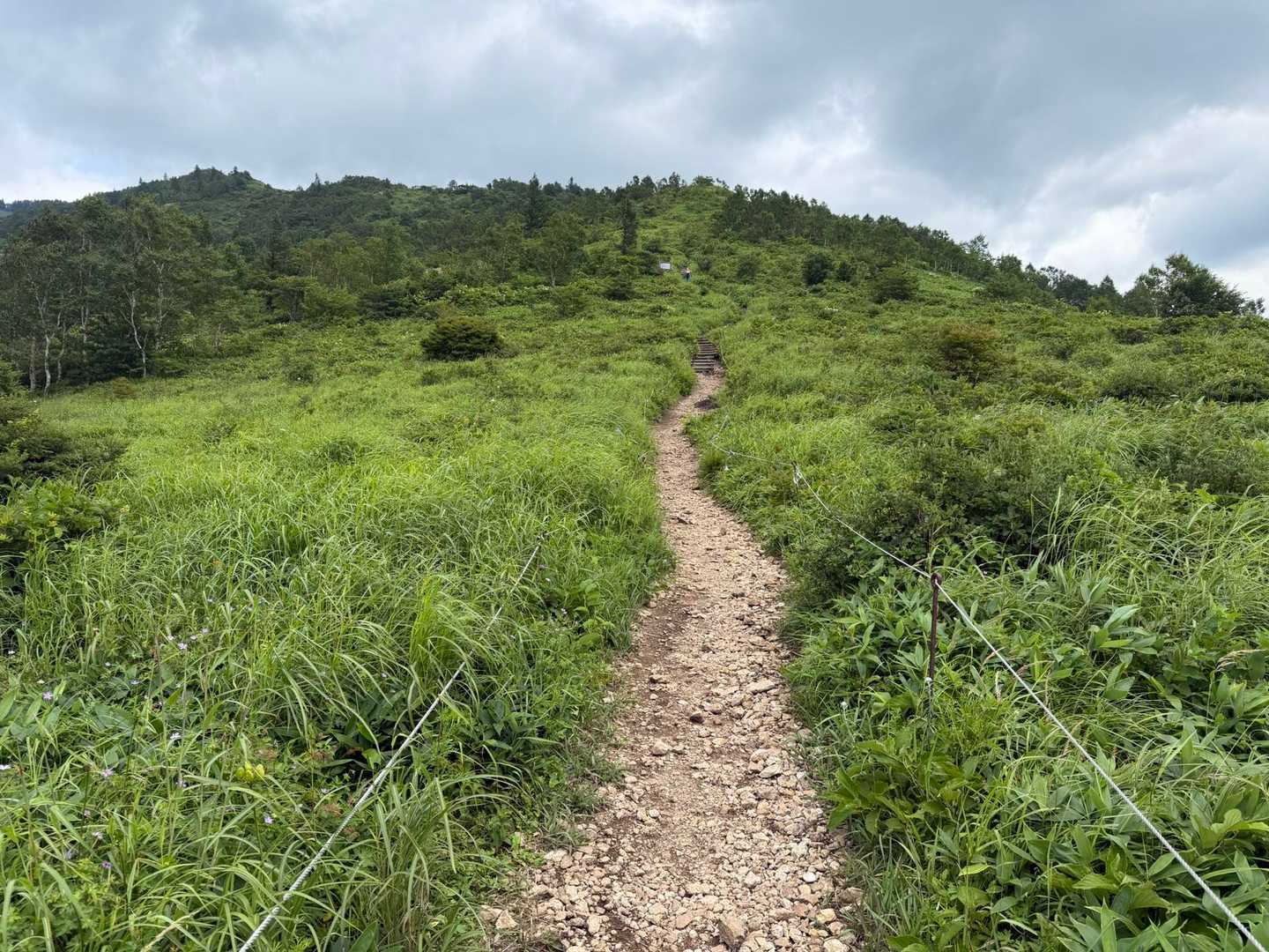 富士見峠-イカイワの頭-八間山 周回コースの写真