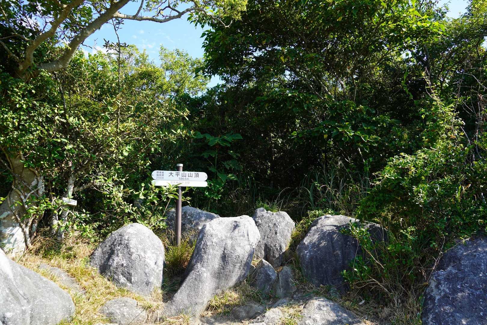 吹上峠-大平山-塔ヶ峯-塔ヶ峯取付-貫山-四方台-偽水晶山 縦走コースの写真