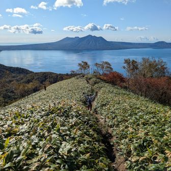 世界屈指の透明度を誇る支笏湖
帰路は吸い込まれそうです🌬️