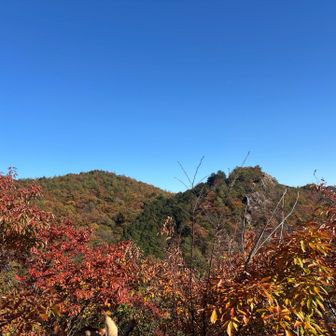 なんとか紅葉🍁間に合ったかな