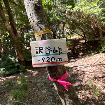 沢谷峠