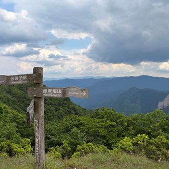 伯母子岳、登頂。2時間38分。コースタイムとほぼ同じである。褒めてやりたい自分と、もっと早く歩けと叱りたい自分が戦っている。引き分けにしておく。それより眺めよ。雄大という言葉がよく似合う。晴れてよかった。