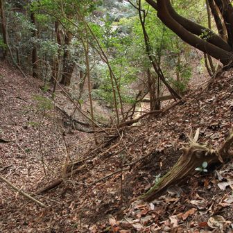 谷が次第に深くなっている