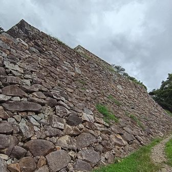 圧巻です