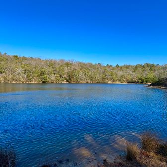 静ヶ池………けっこう大きいかった