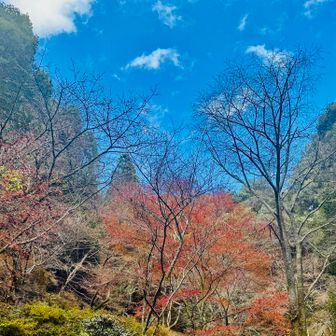 青空だけど、寒気が入りけっこう寒い🥶
