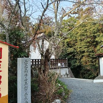 登っていくよー