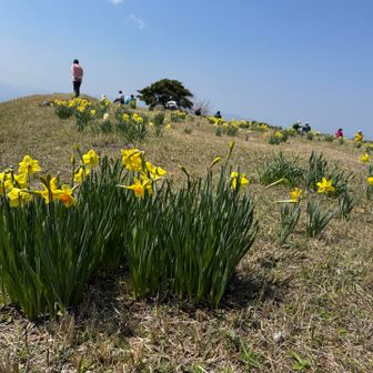 ゆっくりまったりしたい☕️