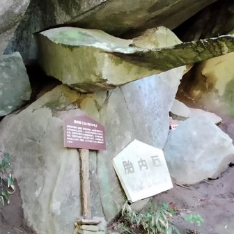 胎内石