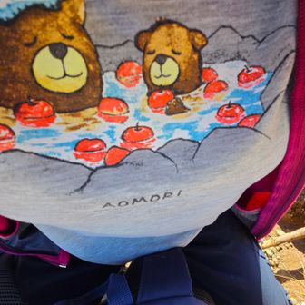 以前弘前駅から歩いてmont-bell弘前店まで行き購入したご当地Tシャツ