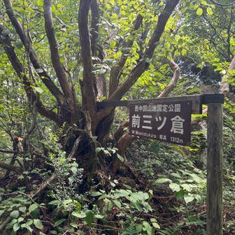 さくさく前三ツ倉△
夫がなかなか来ない