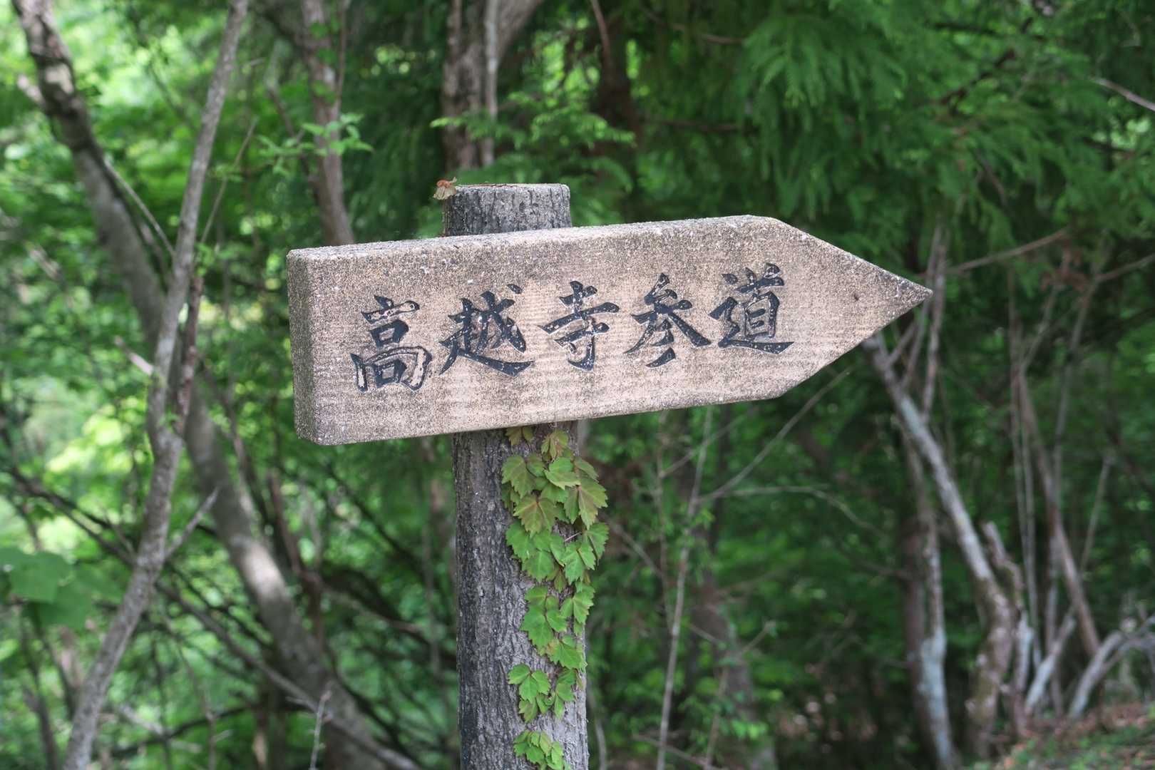 高越寺参道