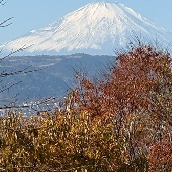 少し　かすんでますが見えました