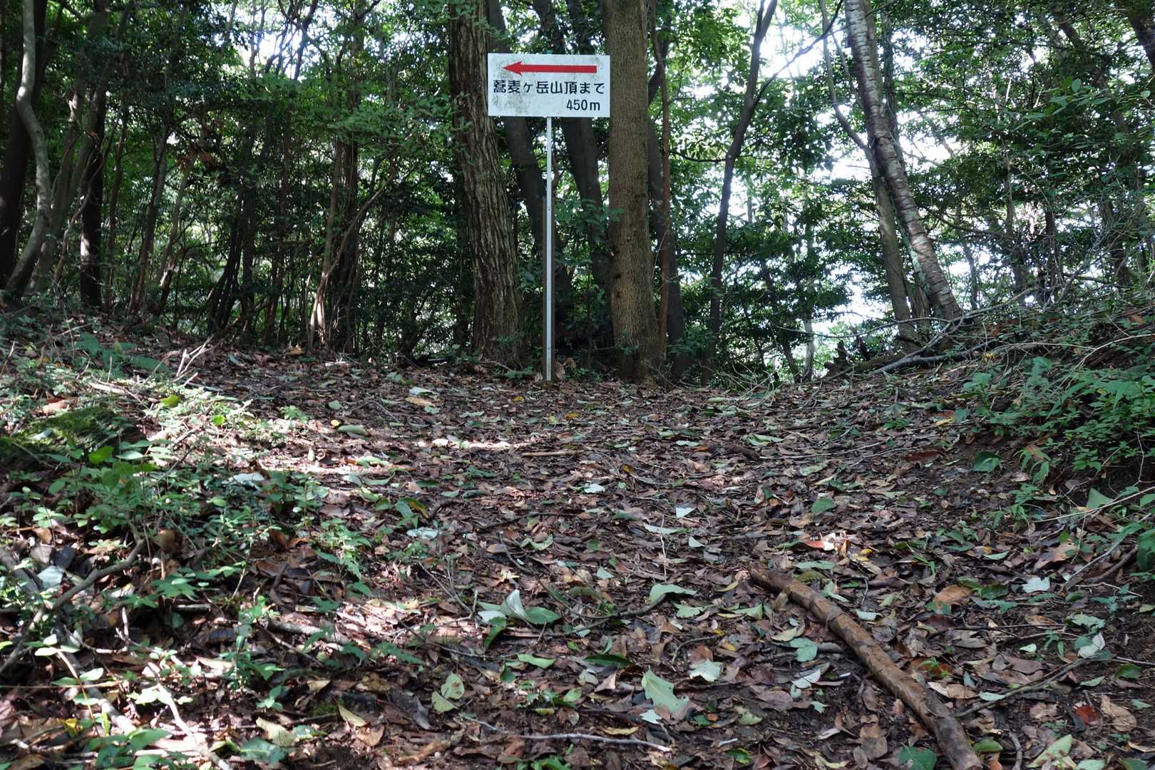 鞍部で左へ。
右は「小麦ヶ岳」方面。