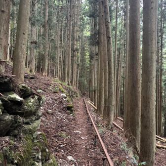 レールに沿って