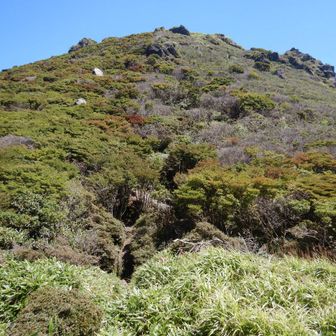 南峰へ