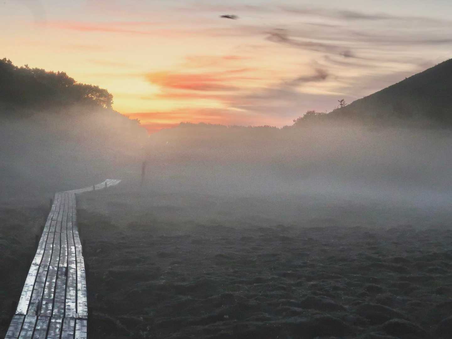芝沢ゲート-易老渡-易老岳-三吉平-光岳-イザルガ岳-希望 周回コースの写真