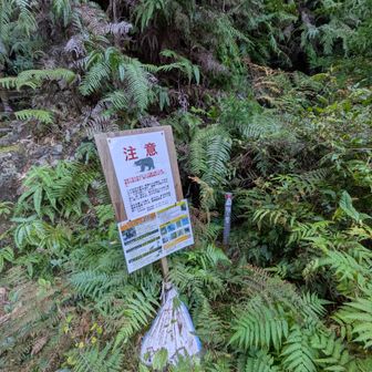 ぎり15時！山道終了🤘