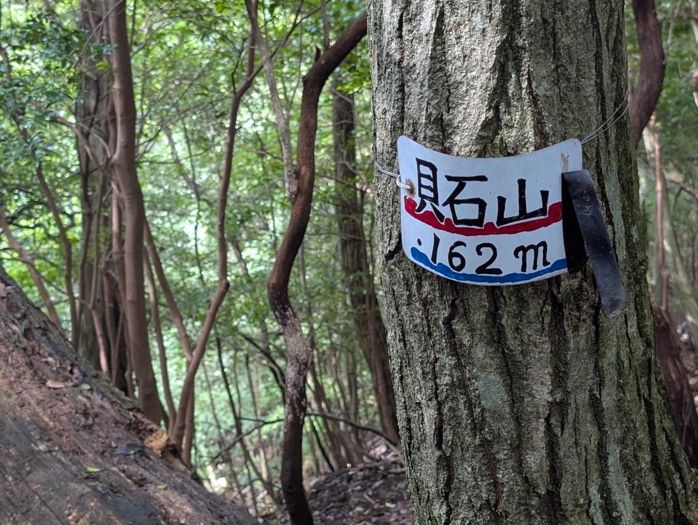 はい、山頂到着。