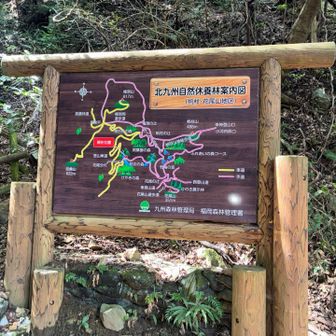 こんな派手な看板あったっけ⁉️(。-`ω´-)ﾝｰ