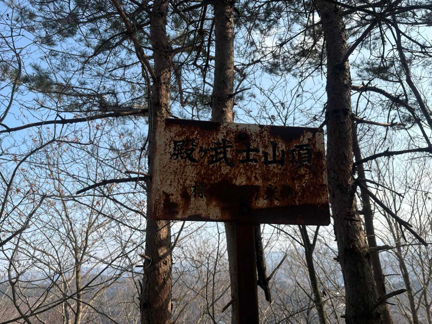 殿ヶ武士山　トノガブシヤマ？？