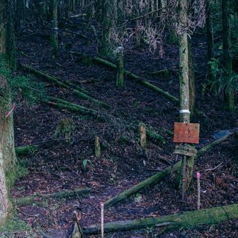 ここに出てきました。ツカレタw