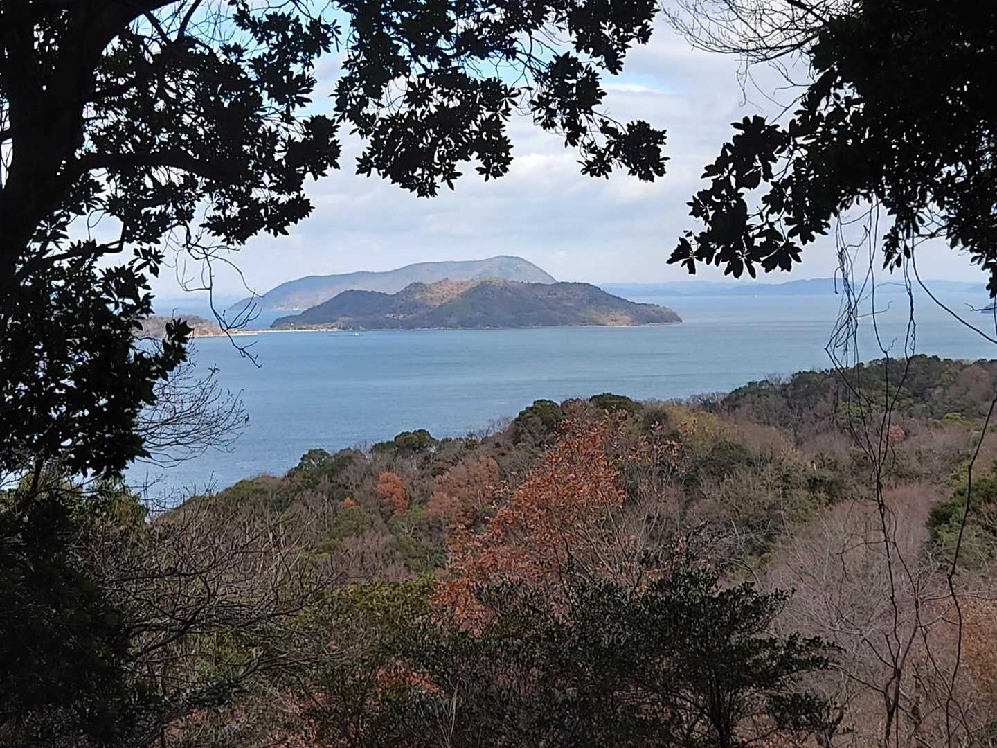 天神山-横峯山-立石山-長坂登山口 周回コースの写真