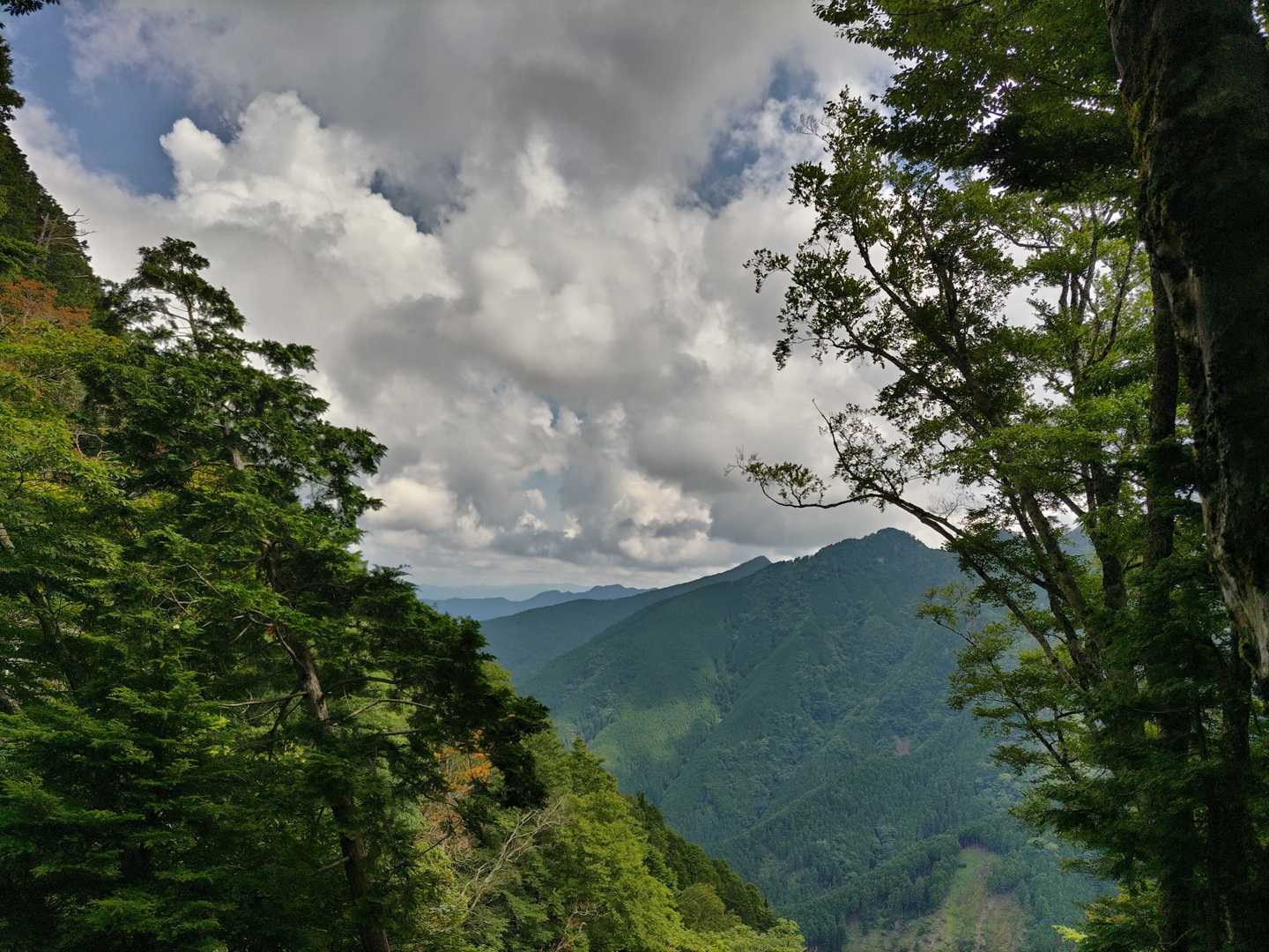 山上ヶ岳